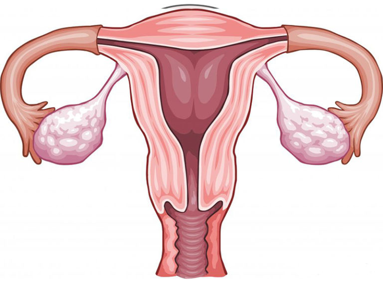 Everything You Need To Know About Hysterectomy Urology Specialist