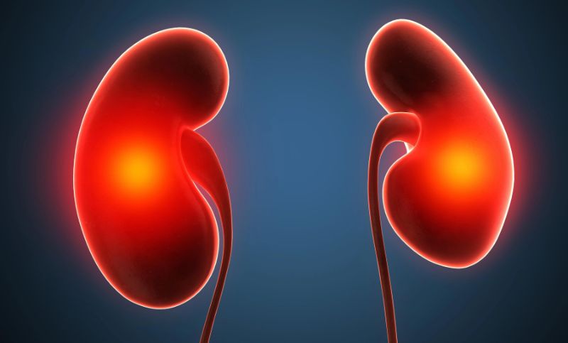 kidney cancer questions