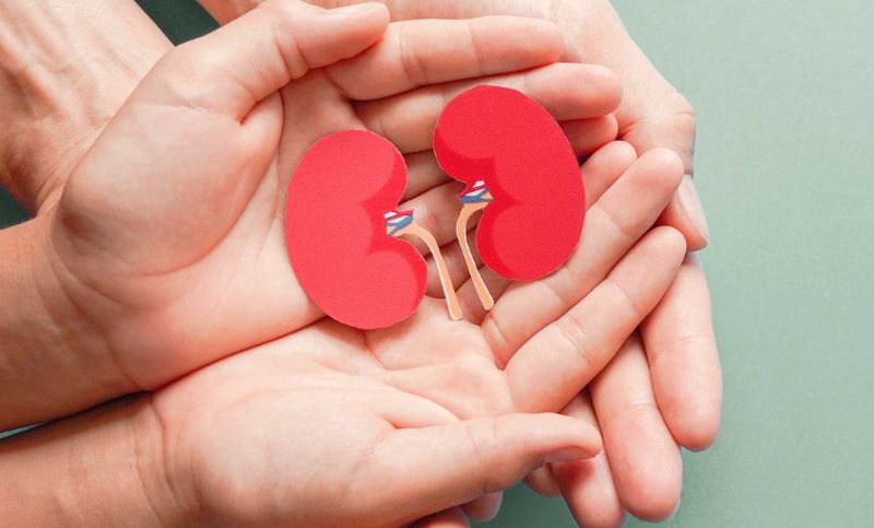 kidney health doctor sydney