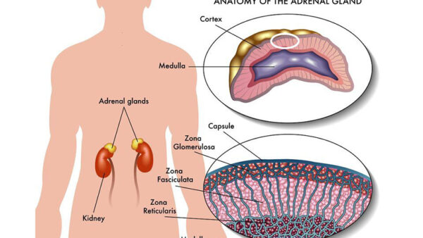 adrenalectomy