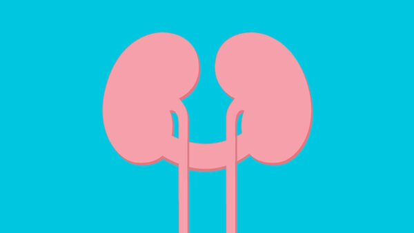 Horseshoe Kidney
