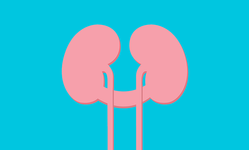 What is Horseshoe Kidney?