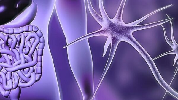 Neurogenic Bladder