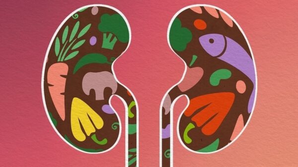 kidney health