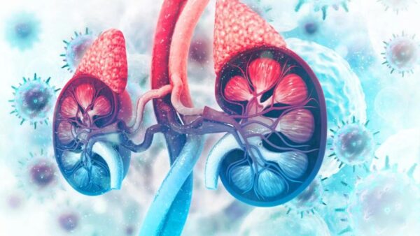 Adrenal
