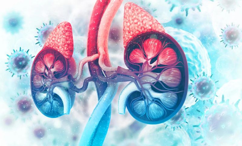 Everything you need to know about Adrenal cancer