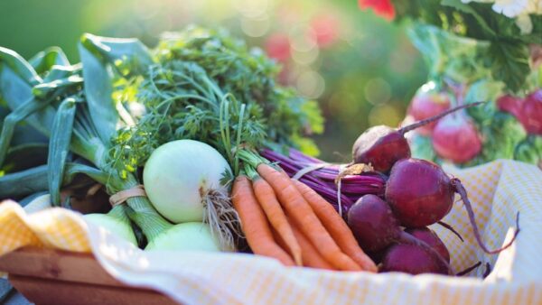 prostate health