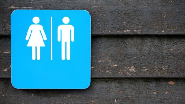 bladder urinary
