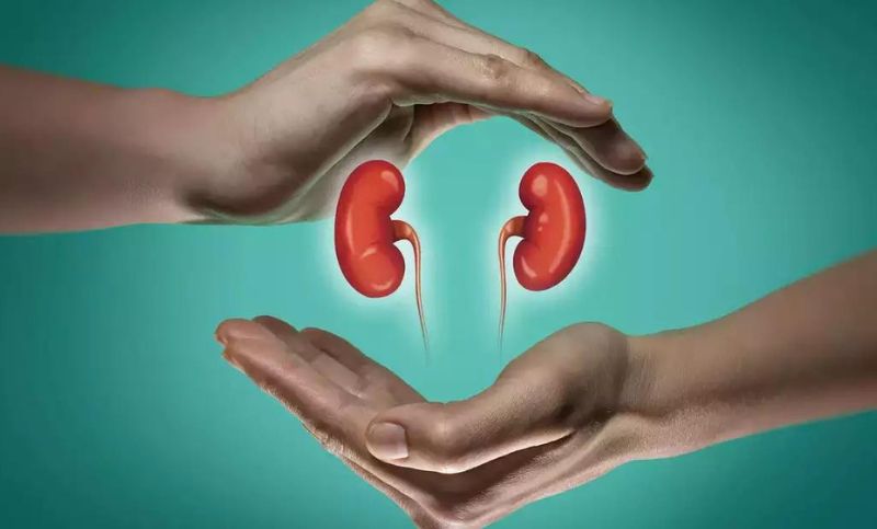 facts about kidney cancer