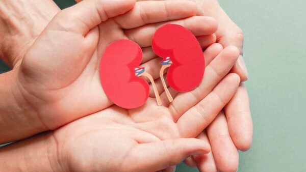 kidney health doctor sydney