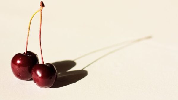 best tips for testicluar health sydney specialist