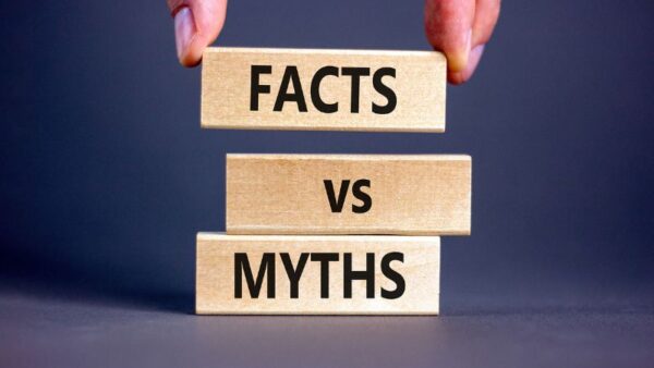 Common Misconceptions About Bladders, Kidneys, and Holiday Habits